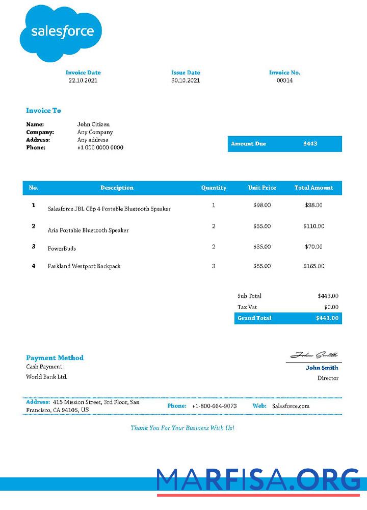 Printable USA Salesforce invoice download for verification